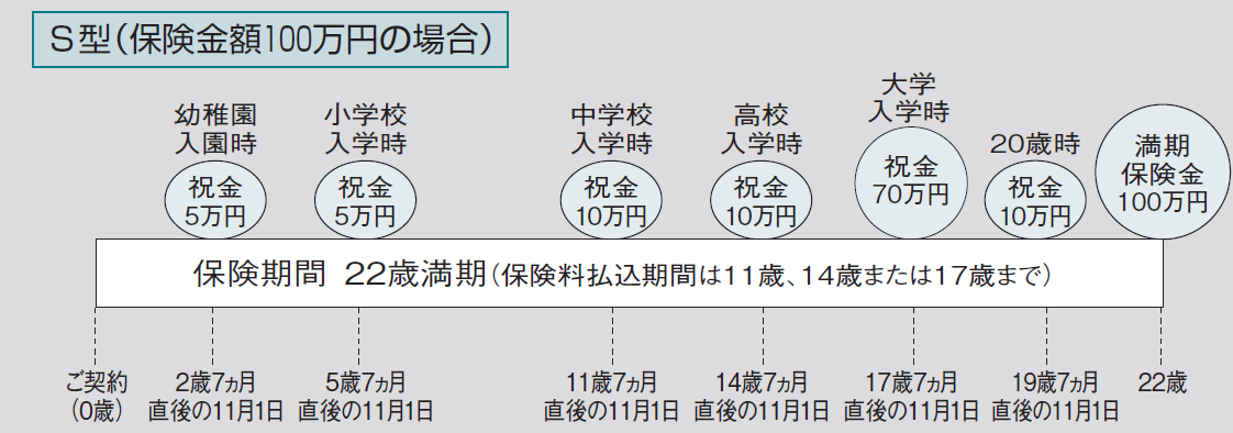S型（保険金額100万円）の場合の例