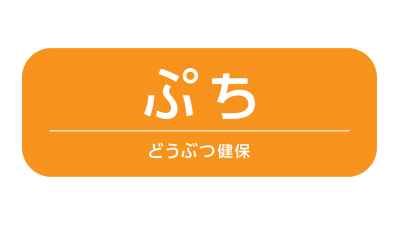 アニコム損保 どうぶつ健保ぷち